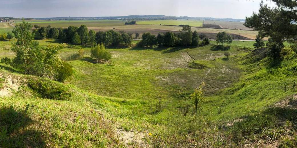 Pohled na svažitý travnatý kopec s roztroušenou zelení v Podvrdech u Tupes.