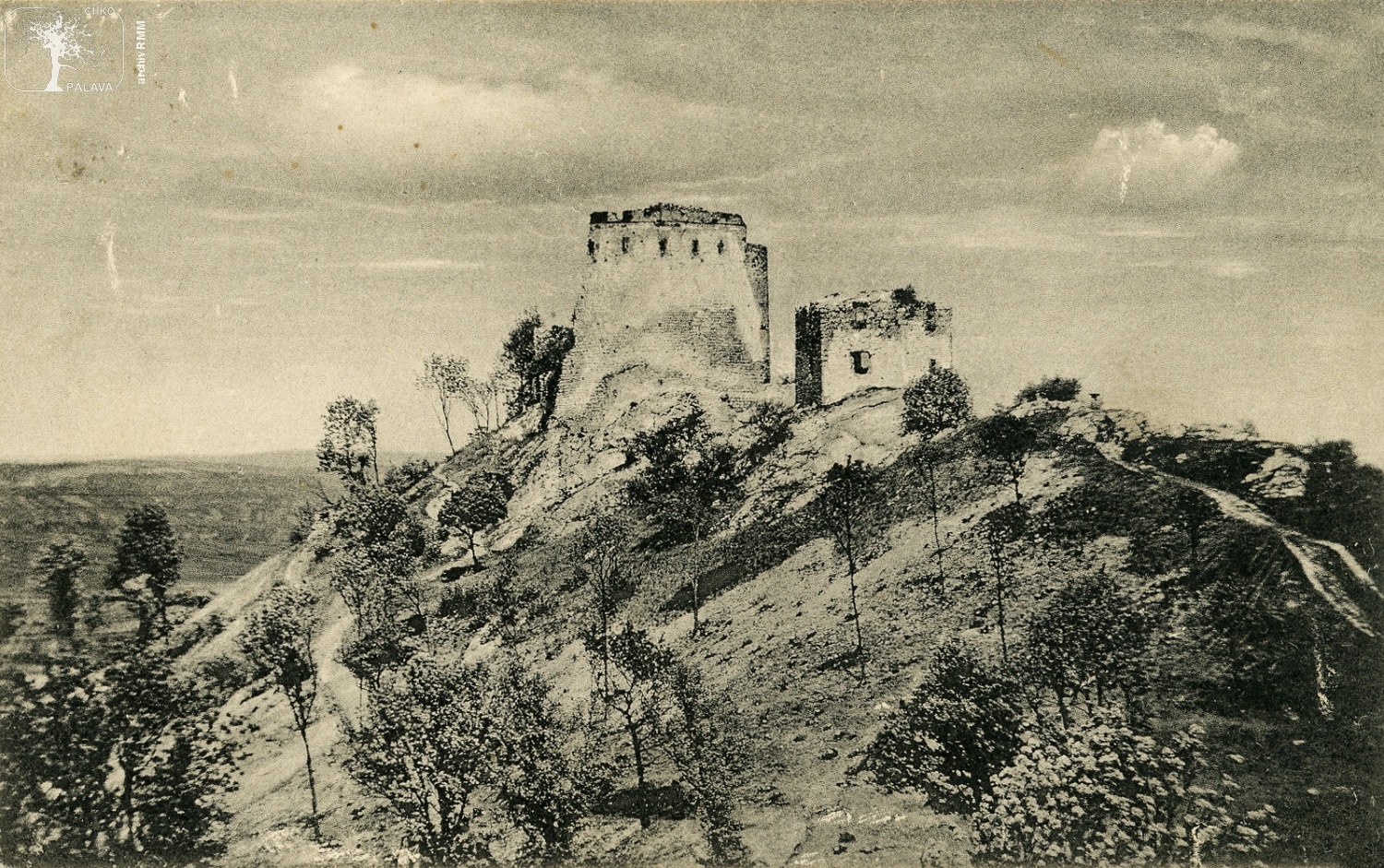 Les u Děviček na začátku 20. století