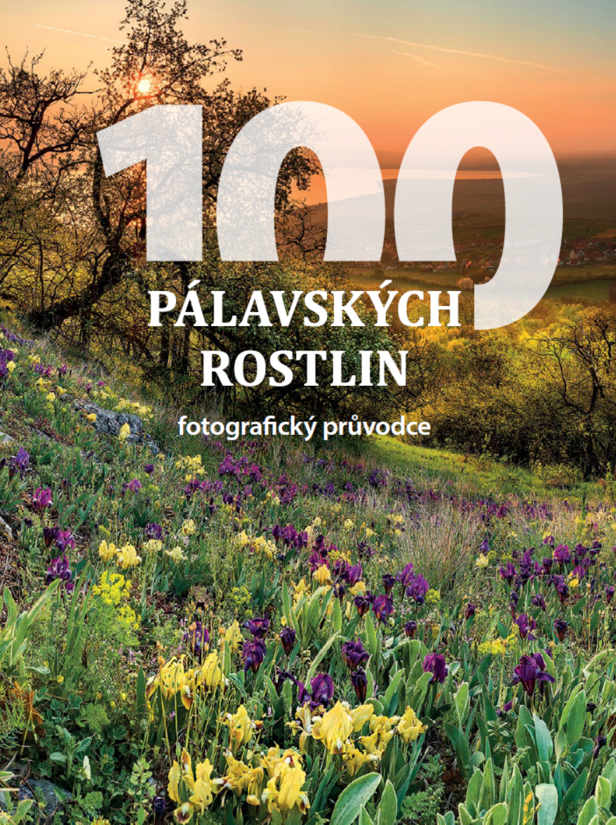 100 pálavských rostlin