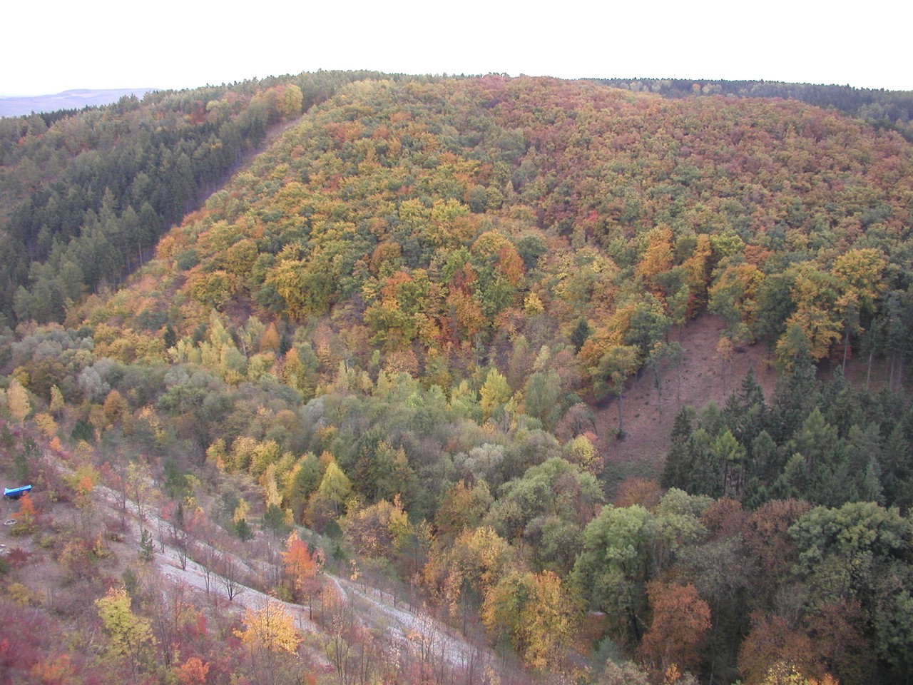 Strmý zalesněný ostroh.