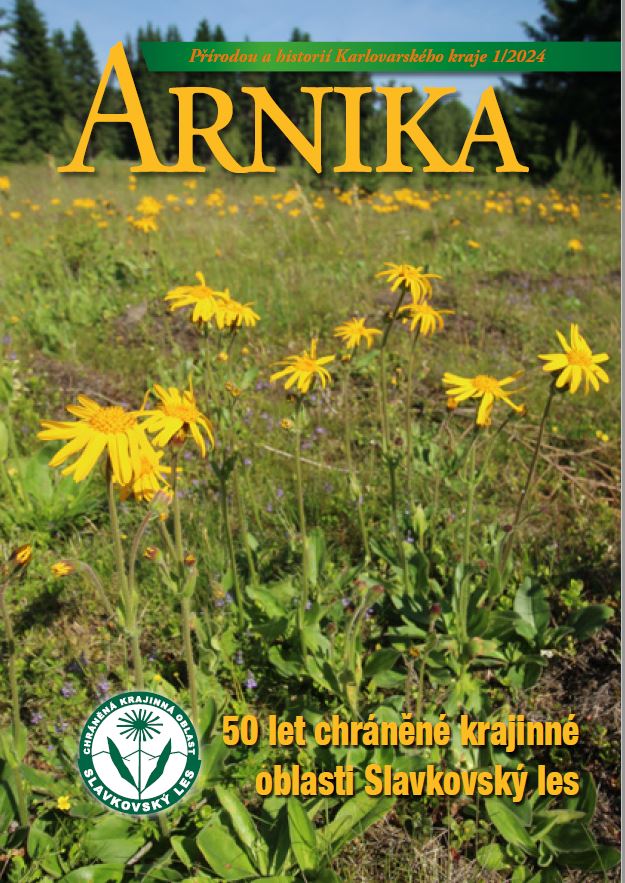 Arnika 1-2024